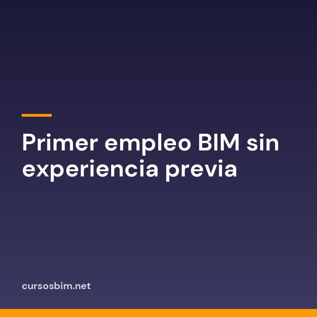 Primer empleo BIM sin experiencia previa